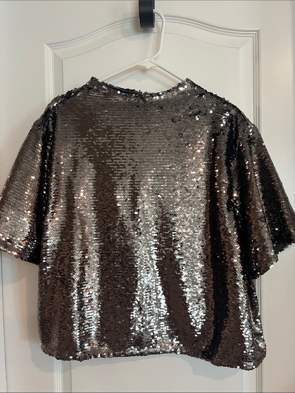 H&M Silver Sequin Short Sleeve Top